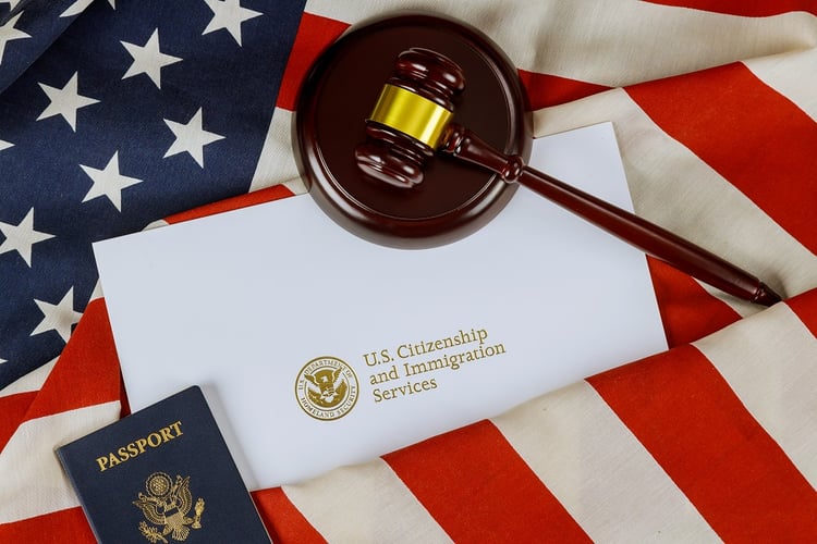 What Are the Practices Areas for Immigration Attorneys? - Novo Legal Group