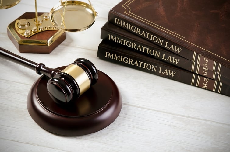 Novo Legal Group - 7 Things to Consider Before Becoming an Immigration Attorney