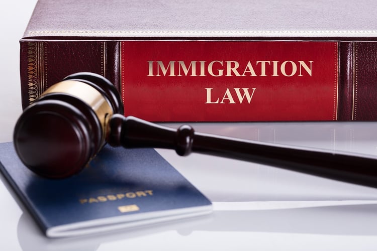 Novo Legal Group - What Does an Immigration Lawyer Do?