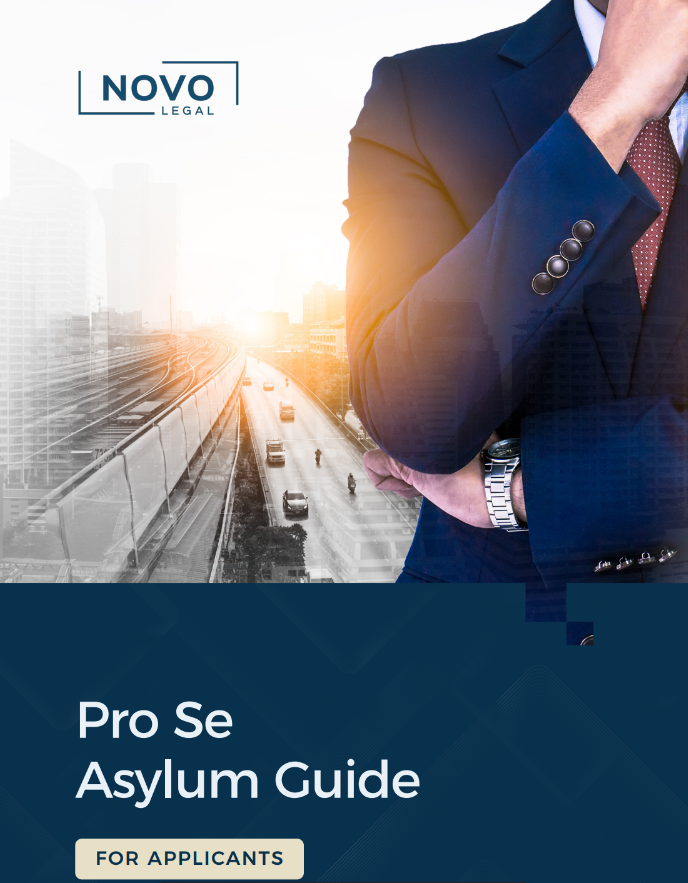 pro se guide cover