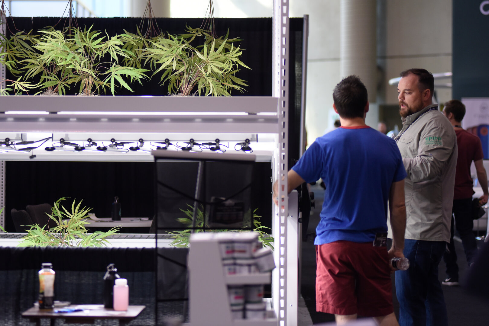 Attorney reviewing immigration documents and a passport at a desk with a non-citizen client during a Colorado DUI consultation
