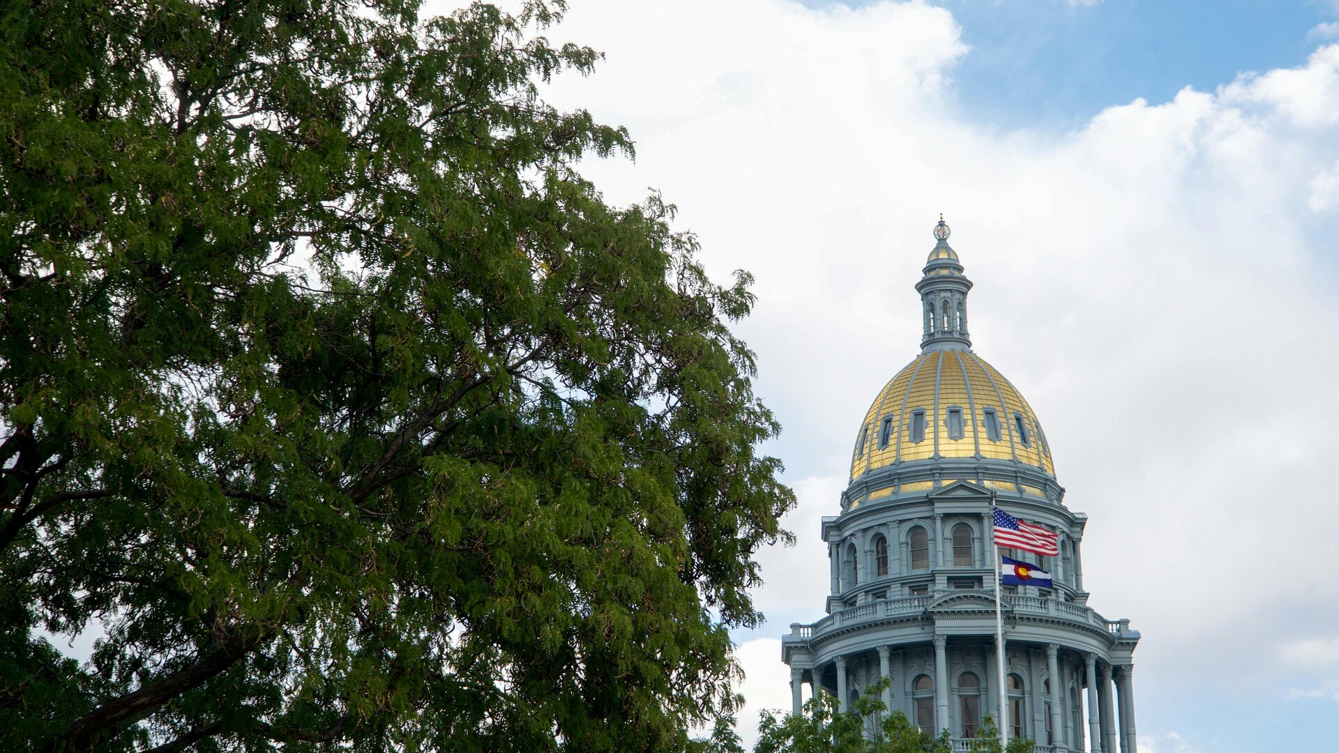 Capitolio del Estado de Colorado en Denver con su icónica cúpula dorada, visto a través de las ramas de los árboles en los jardines del Capitolio.