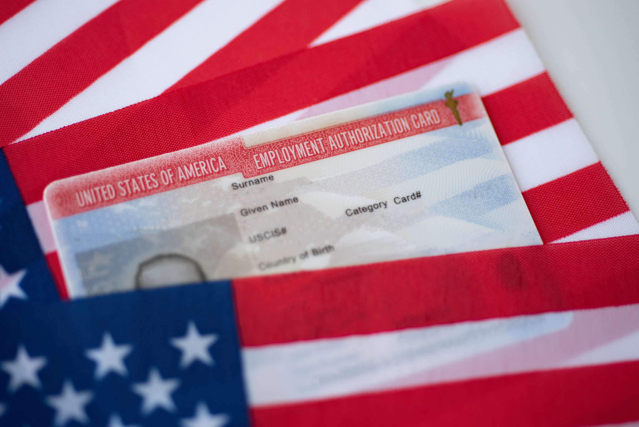 How To Renew Your Employment Authorization Documents Novo Legal