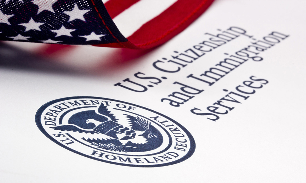 image-novo-legal-immigration-services-1000x600px